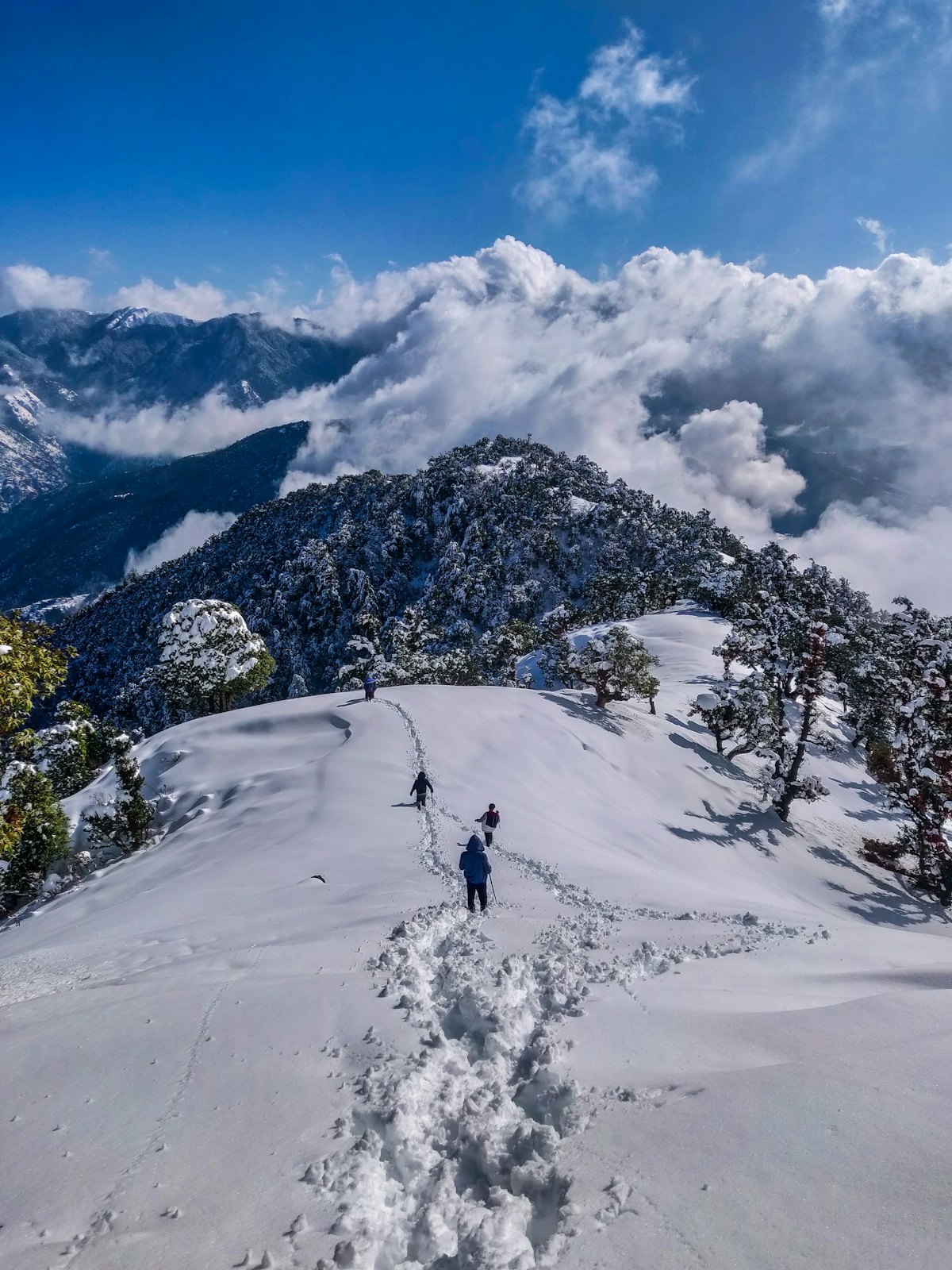 Everest Base Camp Trek